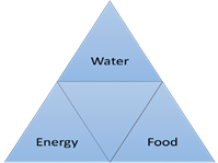 Graph 1